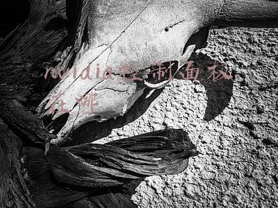 nvidia控制面板在哪