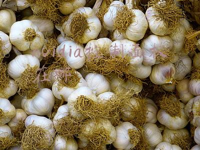 nvidia控制面板在哪