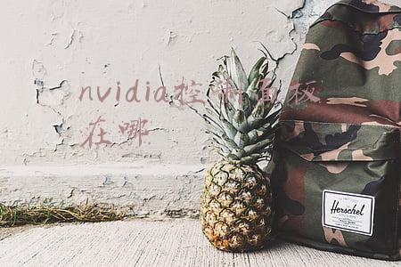 nvidia控制面板在哪