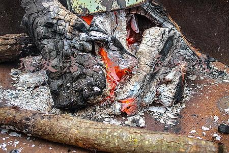 理发店染黑发多少钱(理发店染黑发多少钱一次)