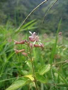 理发店染头发步骤 理发店染头发步骤教程
