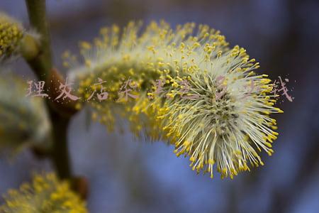 理发店染头发多少钱-自己带染发膏去理发店染头发多少钱
