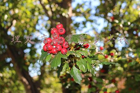 理发店染头发要多久；理发店染头发要多久时间