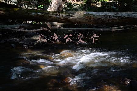 北京公交卡怎么办理(告诉咱爸妈！免费坐公交、逛公园，养老卡办理指南来了~)