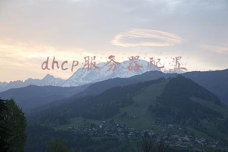 dhcp服务器配置
