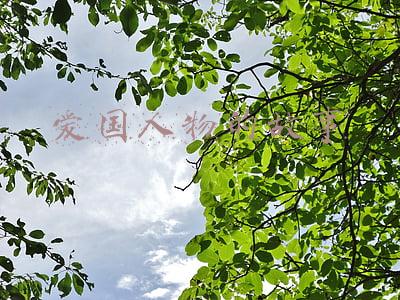 爱国人物的故事