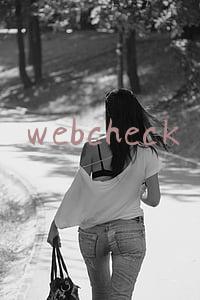 webcheck