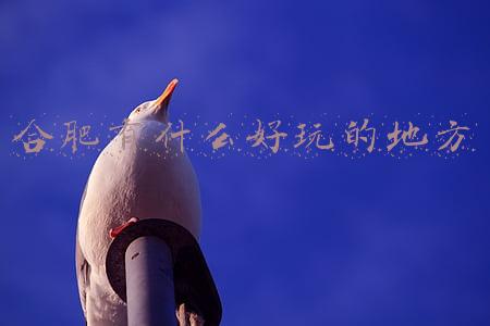 合肥有什么好玩的地方