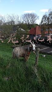 索尼记忆棒