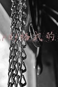 pdf格式怎么打开(如何实现打开PDF文档需要输入密码的功能)