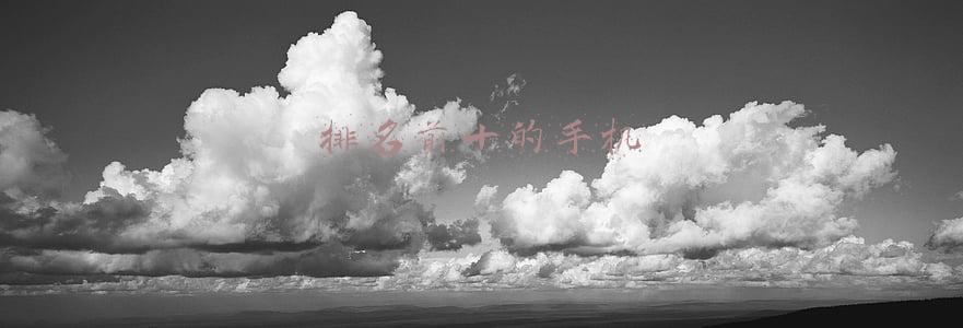 排名前十的手机