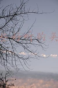 有哪些好听的英文歌,怀念过去的人的(我心目中的十大英文经典歌曲)