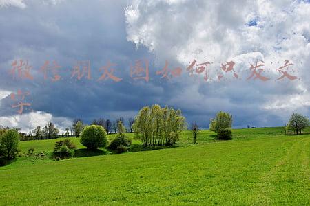 微信朋友圈如何只发文字