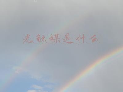 光触媒是什么