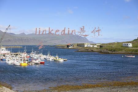 linkedin是什么