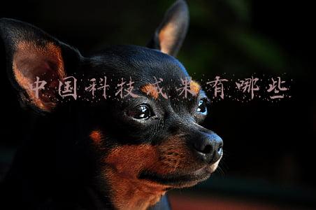 中国科技成果有哪些及时间(从2008到2022：中国这14年的跨越式发展)
