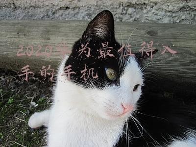 2020华为最值得入手的手机