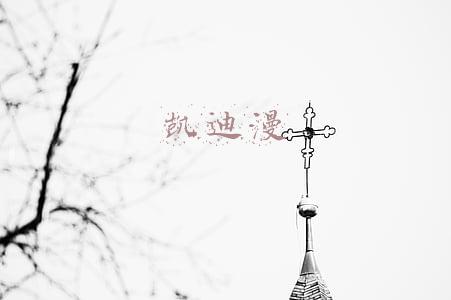 凯迪泰呼吸机面罩(苏州凯迪泰医学科技有限公司对呼吸面罩及管路配件系统主动召回)