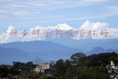 什么牌子的吸管杯好
