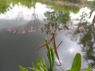 4s店上牌照多少钱