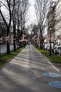 怎样上传照片