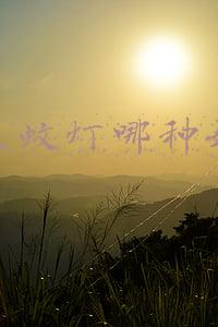 灭蚊灯哪种好