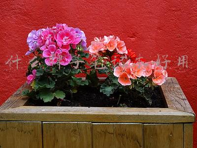 iru笔记本是什么牌子(速卖通商家IRULU：让双11比黑色星期五和圣诞节更high)