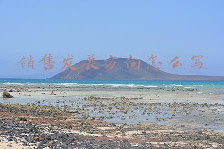 销售发展方向怎么写
