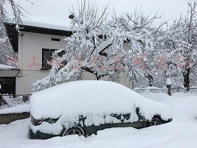 上海租房信息网(干货满满！上海租房攻略汇总)