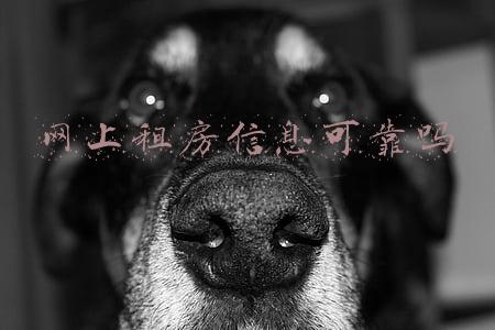 北京租房信息网(北京租房经验贴：快速找房看这里)