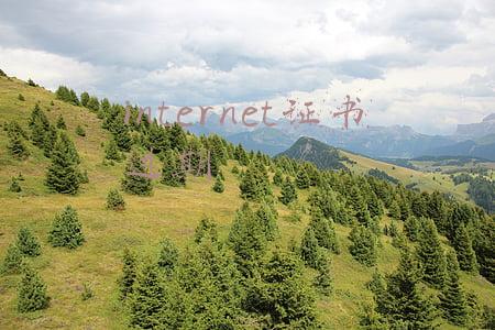 internet证书无法删除(虚拟现实技术：LOL显示Internet证书过期或无效怎么办)