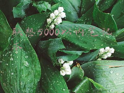 5000元联想电脑台式(联想台式机降价，配GTX1600 S独显6核处理器，仅5000元出头)