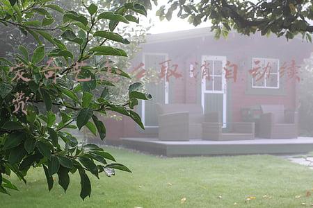 爱奇艺怎么取消自动续费