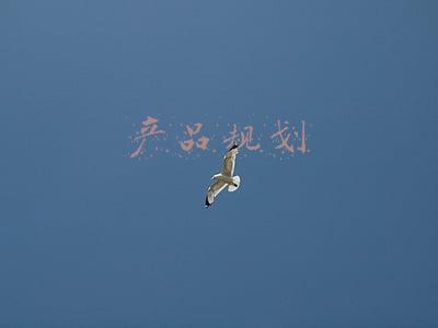 产品规划