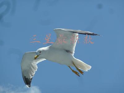 三星最新款上市手机(这回稳了？三星S22基本确认2月8日发布 2月18日开售)