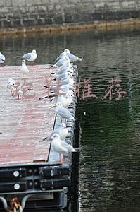 跑鞋推荐