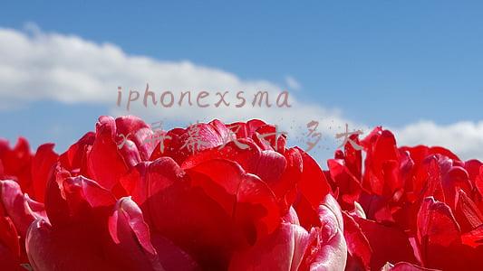 iphonexsmax屏幕尺寸多大