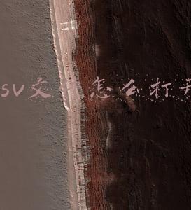 csv文件怎么打开