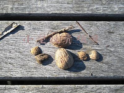 小型投资项目