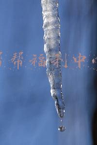 帮帮福利中心