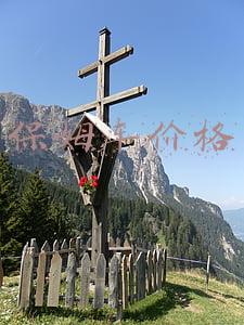 奔驰保姆车价格(60多万的奔驰保姆车，却拥有百万级的享受，买它还是丰田埃尔法？)