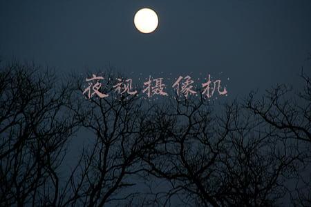 夜视摄像机原理(红外、星光、黑光、全彩夜视摄像头，有何不同？读懂这篇足够)