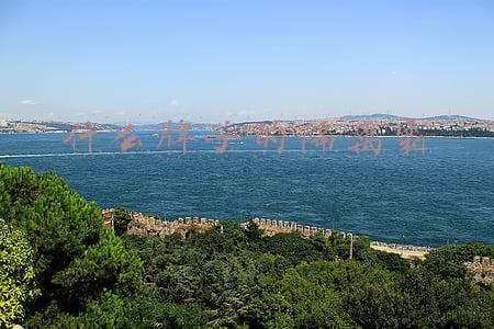 什么牌子的隔离霜效果最好(平价的就是香！这些隔离一点都不输大牌)