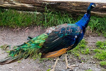 什么牌子的隔离霜好用排行榜(持久不脱妆隔离霜！来看看你的隔离霜排名)