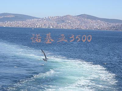 诺基亚3500