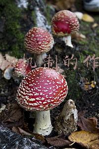 激励机制的作用