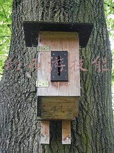 梦幻西游技能表情(梦幻西游：集齐这套表情包之后 新一届的斗图之王就会是你！)