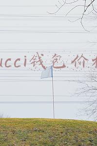 gucci钱包价格