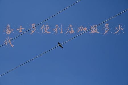 喜士多便利店怎么样:喜士多便利店装修风格