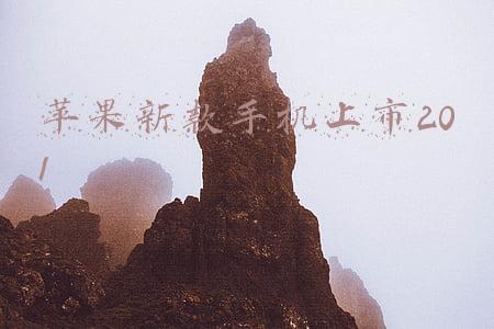 苹果新款手机上市201
